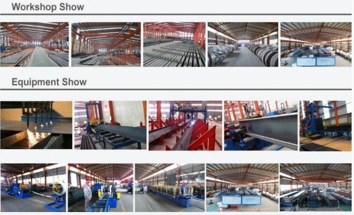 Qingdao Xinguangzheng Husbandry Co.,  Ltd dây chuyền sản xuất nhà máy