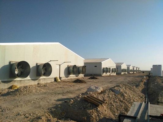Thép trang trại nhà chăn nuôi động vật một dốc Chăn nuôi động vật tùy chỉnh