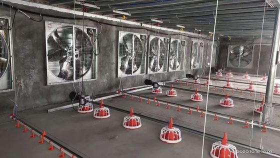 Hệ thống sàn thịt gà OEM 380V Hệ thống nâng nhà toàn nhà