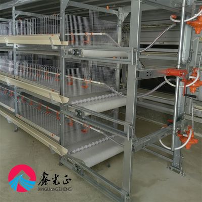 Cấu trúc thép Prefab Nhà nuôi gà Nhà chăn nuôi nông nghiệp