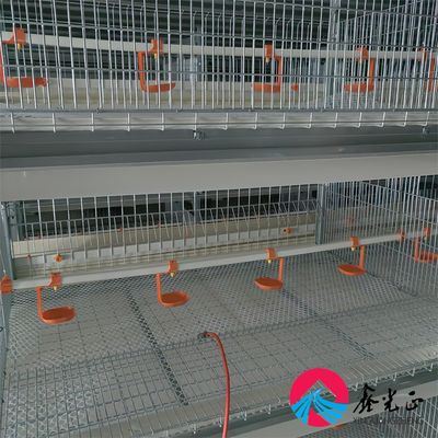 EPS cách nhiệt Chăn nuôi Nhà nông nghiệp hiện đại Với cửa sổ hợp kim nhôm