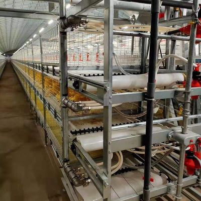 Công nghiệp Chăn nuôi Thép cấu trúc Nhà nông nghiệp sử dụng bảng màu