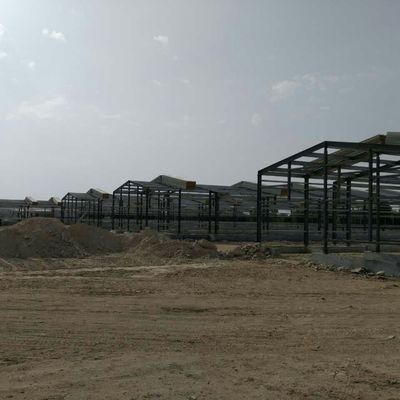 ODM Prefab kim loại kho thép thông minh khung thép nhà gà