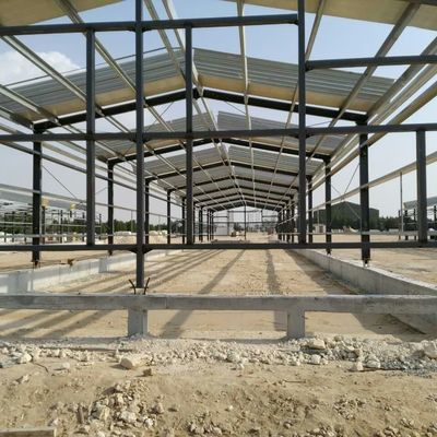 ODM Prefab kim loại kho thép thông minh khung thép nhà gà