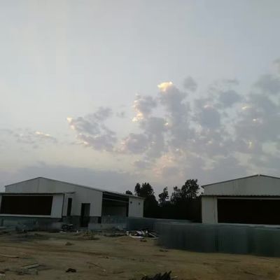 ODM Prefab kim loại kho thép thông minh khung thép nhà gà