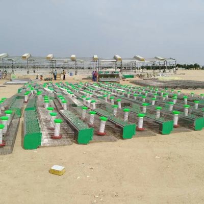 Nhà trang trại gia súc được thiết kế trước Nhà kho cấu trúc thép gà