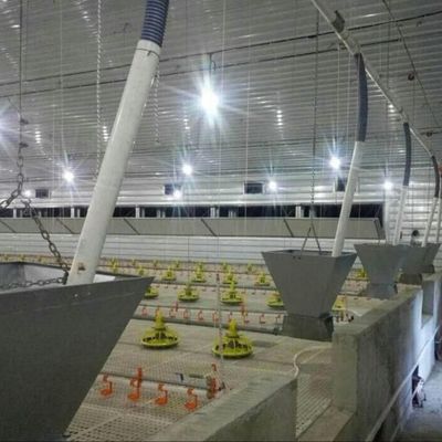 Bảng nhựa galvanized Sản xuất gia súc Nhà nông nghiệp Nhà thép Nhà nuôi gà