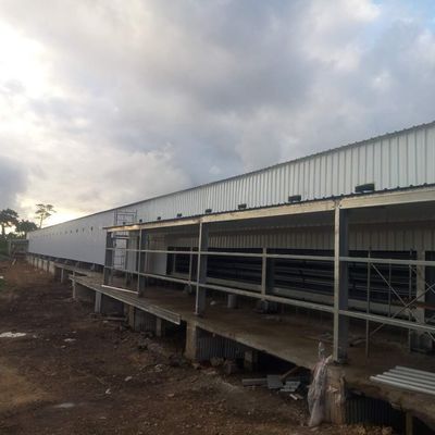 Bảng nhựa galvanized Sản xuất gia súc Nhà nông nghiệp Nhà thép Nhà nuôi gà