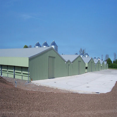 SGS Sở chăn nuôi Nhà chăn nuôi Sản xuất tự động khung thép Chicken Coop