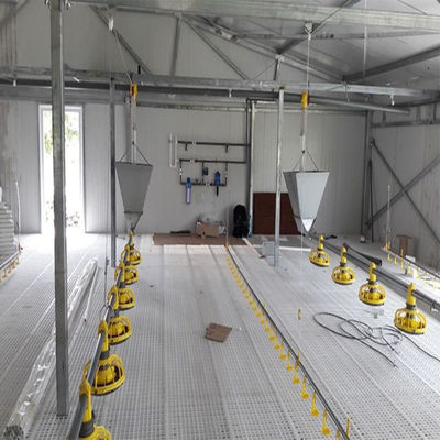 SGS Sở chăn nuôi Nhà chăn nuôi Sản xuất tự động khung thép Chicken Coop