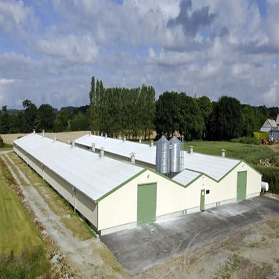 SGS Sở chăn nuôi Nhà chăn nuôi Sản xuất tự động khung thép Chicken Coop