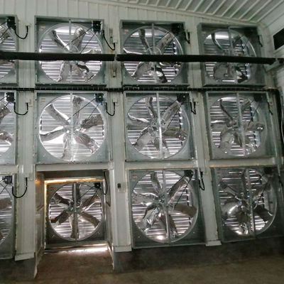OEM Nhà gia cầm tiêu chuẩn cấu trúc thép với cửa sổ trượt