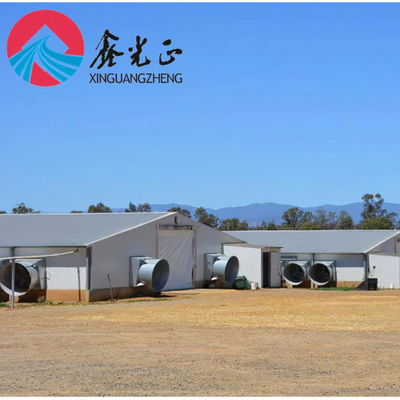 H-Section Steel Prefabricated Farm House với PVC cách nhiệt