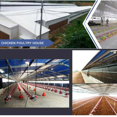 H-Section Steel Prefabricated Farm House với PVC cách nhiệt