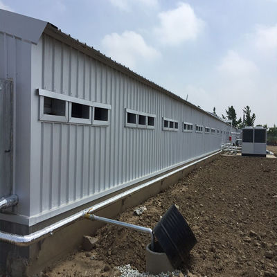 CE Sản xuất gia súc nhà nông nhà thép nhà gà và thiết bị cho gà