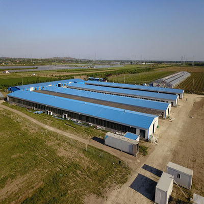 Sản xuất gia cầm Nhà gà Nhà thép kết cấu sẵn nhẹ