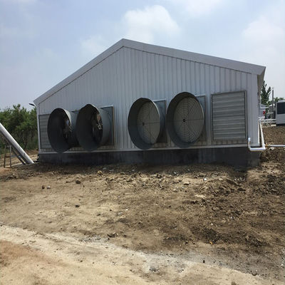 Sản xuất gia cầm Nhà gà Nhà thép kết cấu sẵn nhẹ