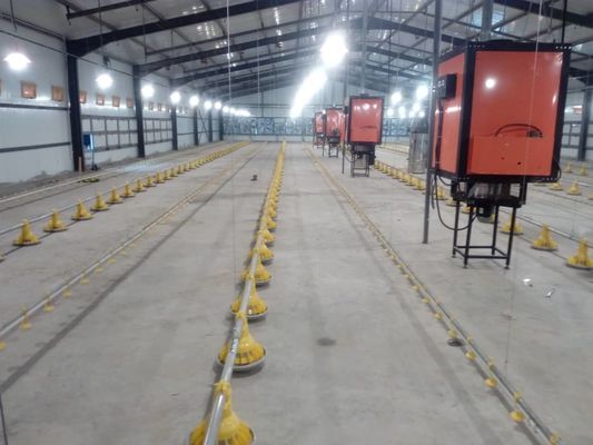 H phần thép nhà gà thương mại cấu trúc thép tiền chế