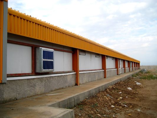 H phần thép nhà gà thương mại cấu trúc thép tiền chế