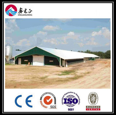 Tùy chỉnh hệ thống đường cho ăn sàn thịt thịt thịt tự động với nhà gà cấu trúc thép