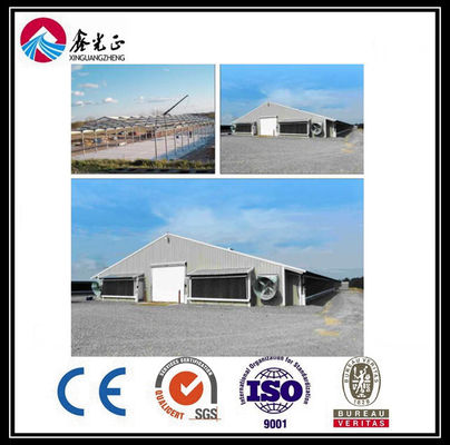 Tùy chỉnh hệ thống đường cho ăn sàn thịt thịt thịt tự động với nhà gà cấu trúc thép