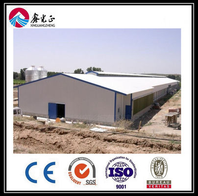 Tùy chỉnh hệ thống đường cho ăn sàn thịt thịt thịt tự động với nhà gà cấu trúc thép