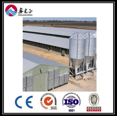 Tùy chỉnh hệ thống đường cho ăn sàn thịt thịt thịt tự động với nhà gà cấu trúc thép