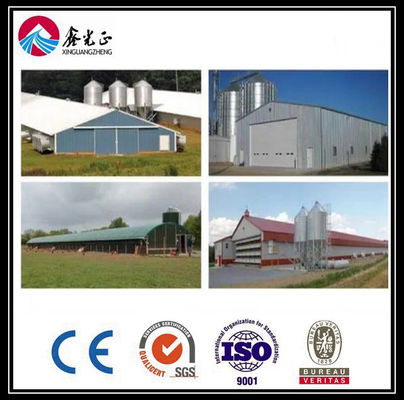 Tùy chỉnh hệ thống đường cho ăn sàn thịt thịt thịt tự động với nhà gà cấu trúc thép