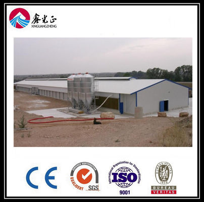 Hệ thống lồng gà thịt gà CE Hệ thống cho ăn trong chảo cho nuôi gia cầm