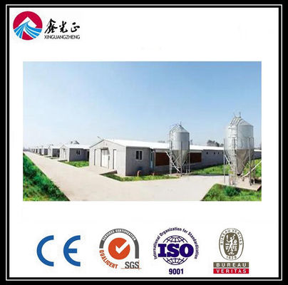 Hệ thống lồng gà thịt gà CE Hệ thống cho ăn trong chảo cho nuôi gia cầm