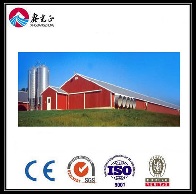 Hệ thống lồng gà thịt gà CE Hệ thống cho ăn trong chảo cho nuôi gia cầm