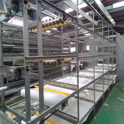 H Thiết kế lồng khung Hệ thống cho ăn thịt thịt thịt tự động cho các trang trại tiên tiến