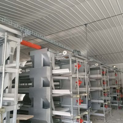 Hệ thống lồng gà gà gà lớn 230M * 56M cho quốc gia xuất xứ