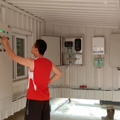 Hệ thống cho thịt thịt thịt tự động là giải pháp lý tưởng cho các trang trại nuôi gia cầm