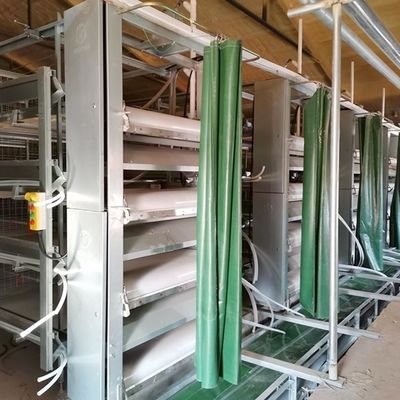 Hệ thống chuồng gà gà có độ linh hoạt thấp