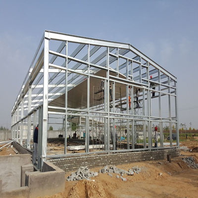 Chăn nuôi gia cầm bằng nhựa cho hiệu suất tối ưu trong nuôi gia cầm