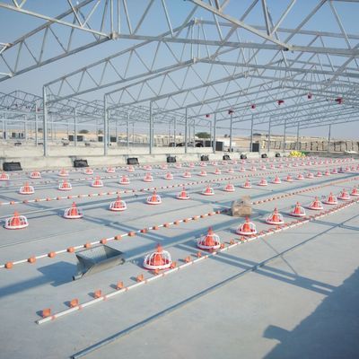 Chăn nuôi gia cầm bằng nhựa cho hiệu suất tối ưu trong nuôi gia cầm