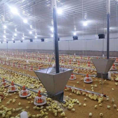 Hệ thống sàn thịt gà lâu dài với khả năng chống ăn mòn / vật liệu nhựa
