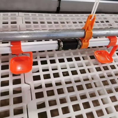 Giá rẻ xây dựng thép cấu trúc xây dựng trang trại gia súc gà nhà gà