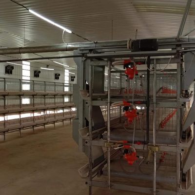 1950*350*380mm Lồng đẻ gà cho trang trại gia cầm Công nghệ tiên tiến