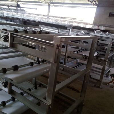3 Lớp Ống gà nhựa đắm nóng với thức ăn tự động