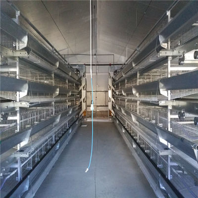 Thép kẽm loại sản xuất trứng Chicken Enclosure cho hệ thống cho ăn và uống tự động