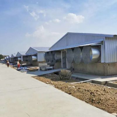 Xây dựng thép gia cầm bền chống thời tiết chống thời tiết