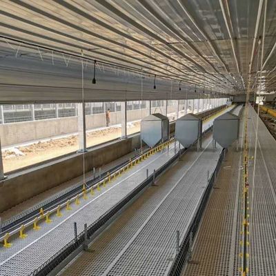 Xây dựng thép gia cầm bền chống thời tiết chống thời tiết