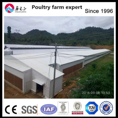 EPS cách nhiệt Chăn nuôi Nhà nông nghiệp hiện đại Với cửa sổ hợp kim nhôm