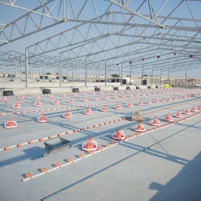 Bảng nhựa galvanized Sản xuất gia súc Nhà nông nghiệp Nhà thép Nhà nuôi gà