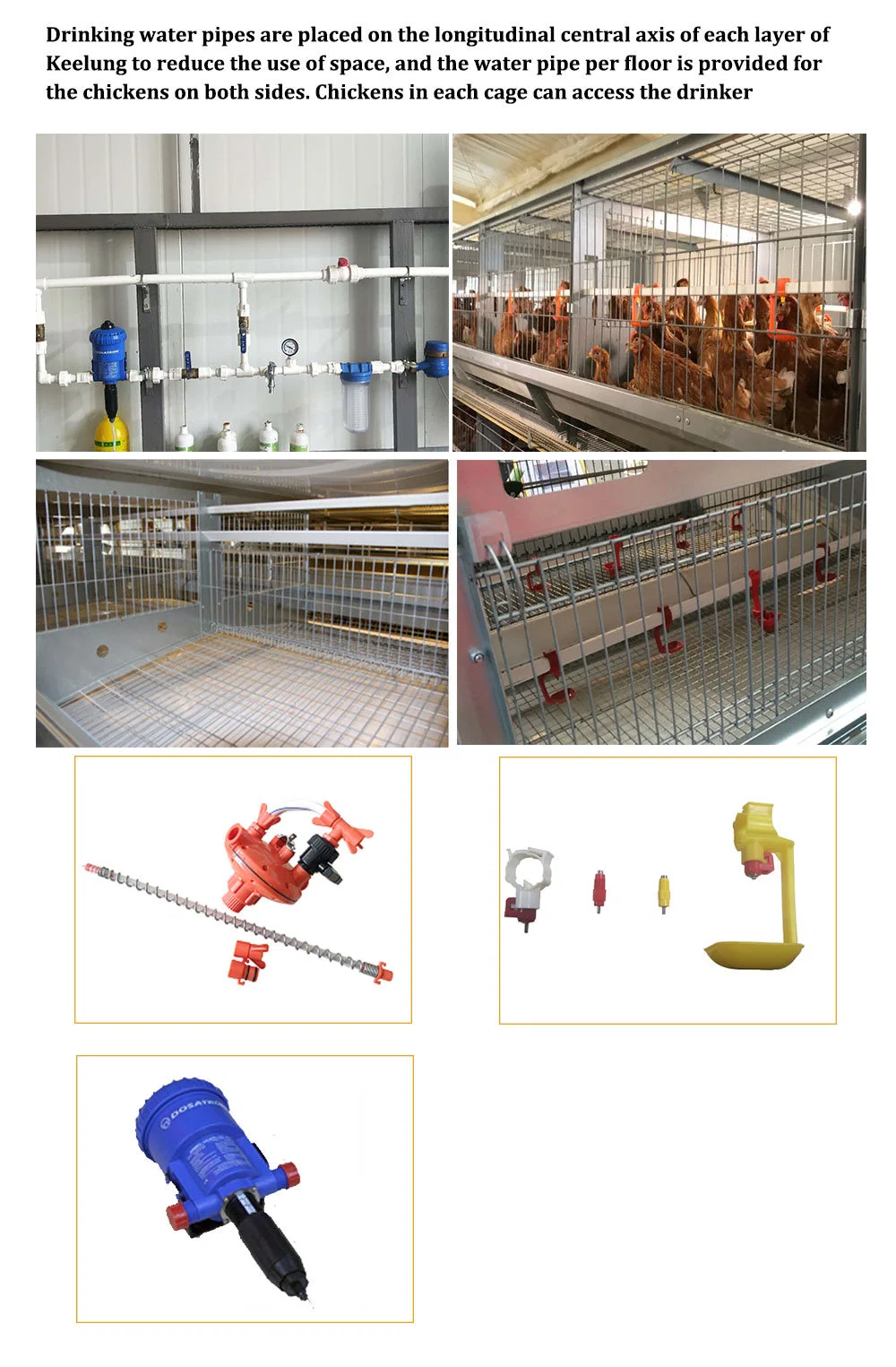 Thép khung lớp trứng gà lồng OEM gà đẻ trứng lồng 4