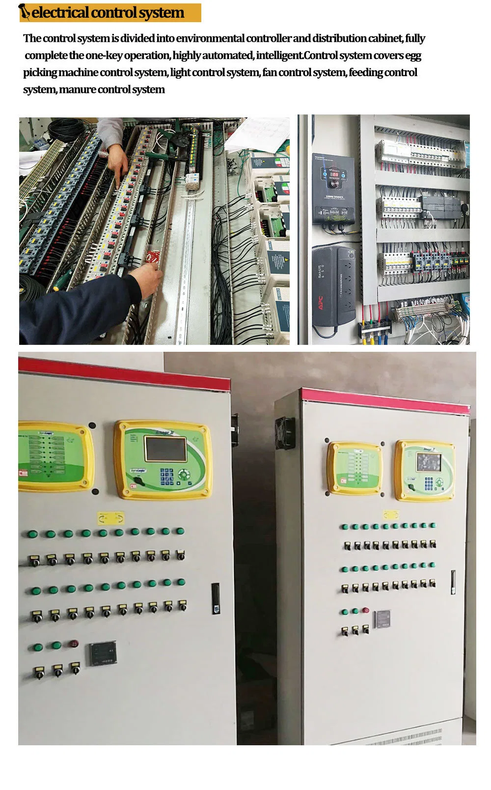 Thép khung lớp trứng gà lồng OEM gà đẻ trứng lồng 5