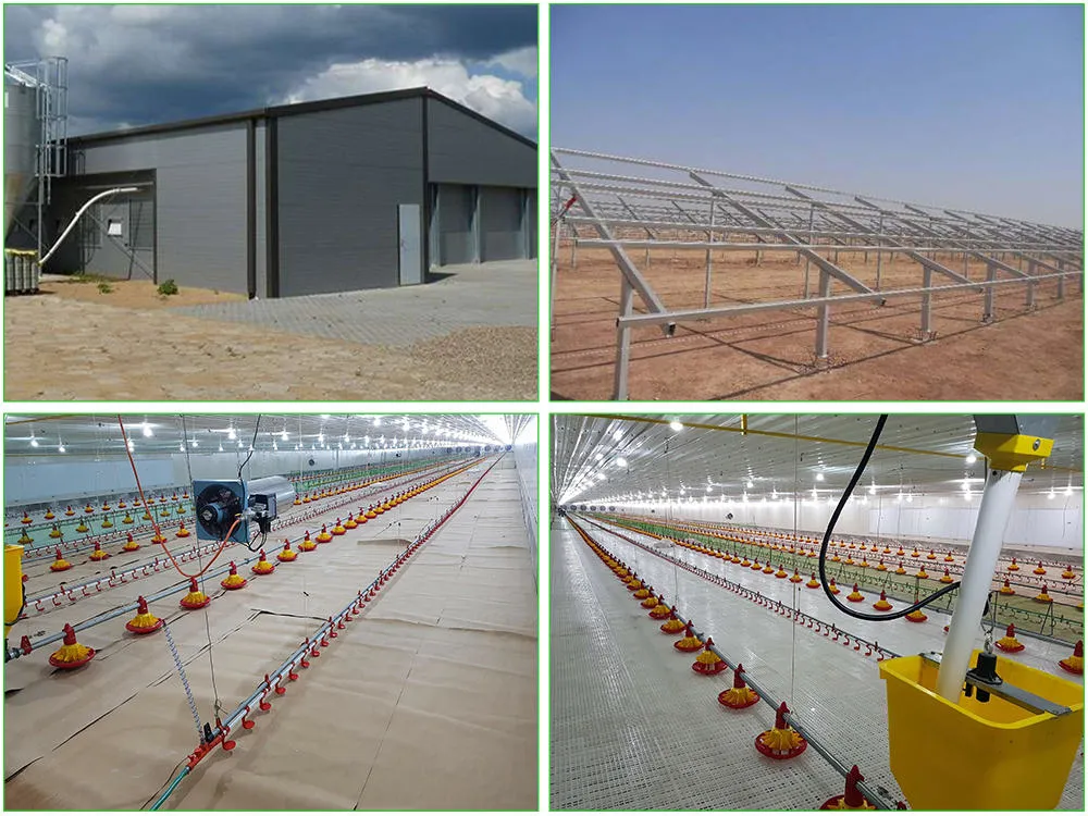 SGS Sở chăn nuôi Nhà chăn nuôi Sản xuất tự động khung thép Chicken Coop 3