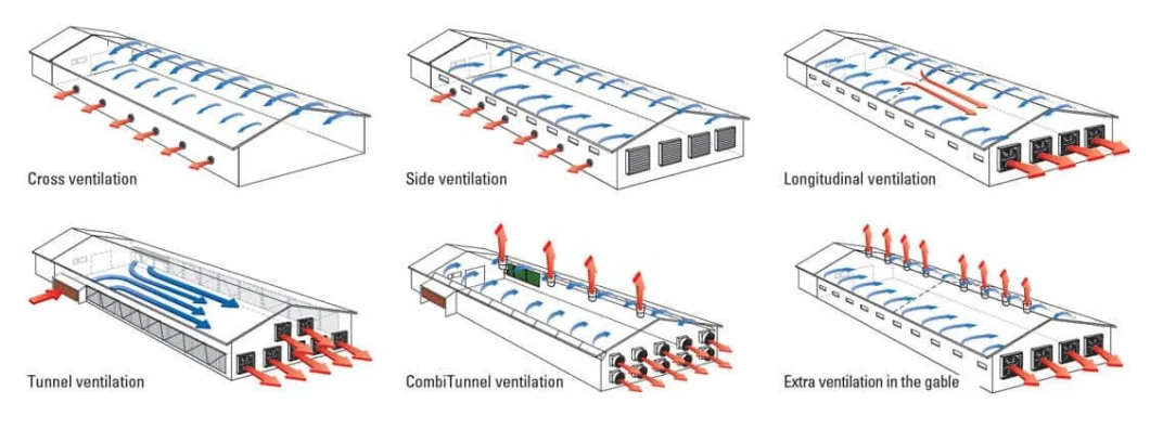 CE Sản xuất gia súc nhà nông nhà thép nhà gà và thiết bị cho gà 0